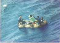 rafters